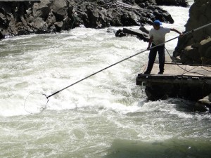 Fisherman on the Klickitat