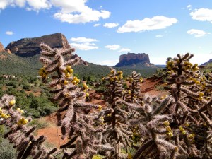 View of Sedona from the church