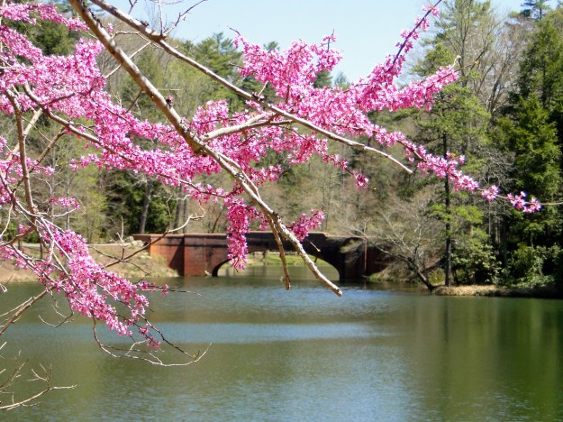 Bass Lake on the Biltmore Estate grounds