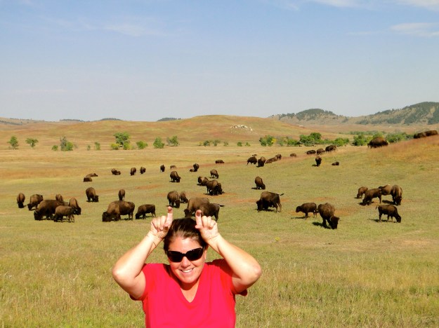 Wildlife Loop Road, my Tatanka impression.  Dances with Wolves was filmed here