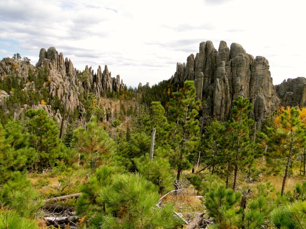 Great scenery on our hike in Custer State Park