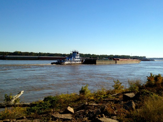 Some of the barge traffic going up and down the river