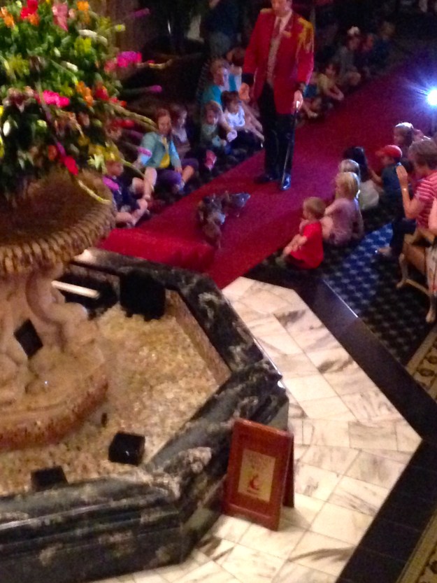 The Duck March at the Peabody. The guy in red is the "Duck Master"